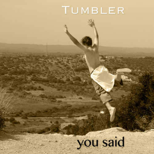 Tumbler: You Said