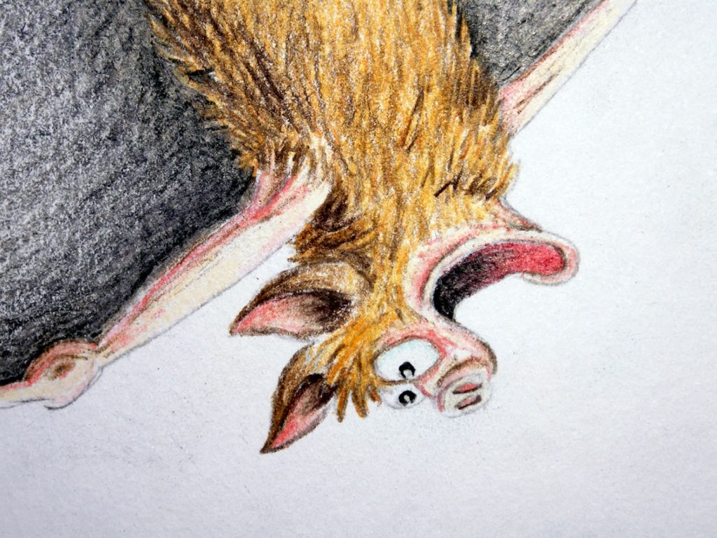 Bat detail